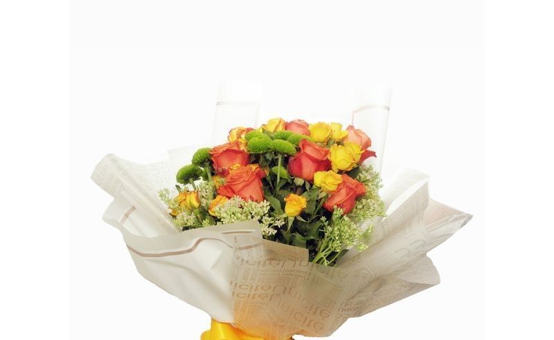 SITNICE ČINE ŽIVOT LJEPŠIM